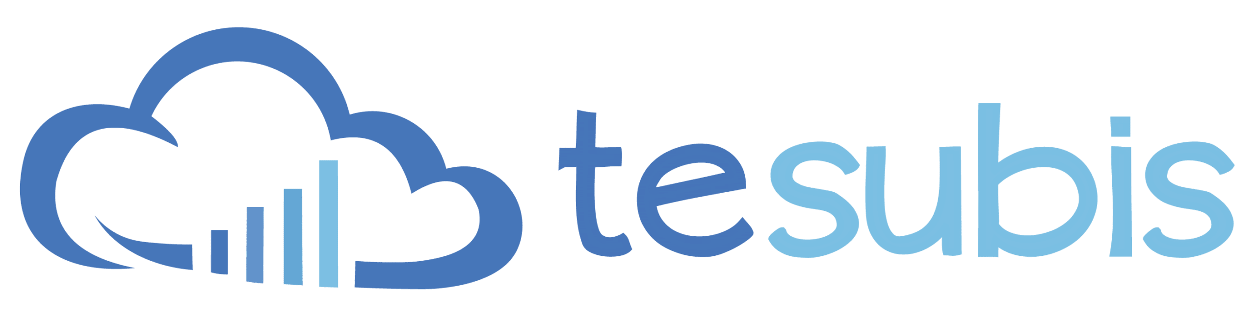 Tesubis – Sistema de Gestión Online